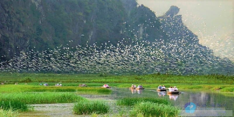Tổng quan khu du lịch sinh thái Thung Nham Ninh Bình